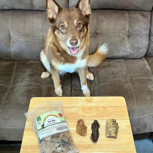 Tail Mix Dog Treats Made in USA All Natural Beef Bites 1 Ingredient Grain Free Assortment Beef Lung, Trachea and Spleen