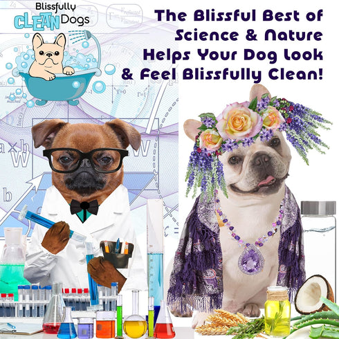 The Blissful Dog Blissfully Fresh Face Wash - Cleans Facial Folds and Wrinkles, 4-Ounce for French Bulldog