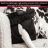 FINNERO Ballerina Dog Diaper Washable, Reusable, Leak-Proof Heat, Period & Urine Incontinence Protection Comfortable