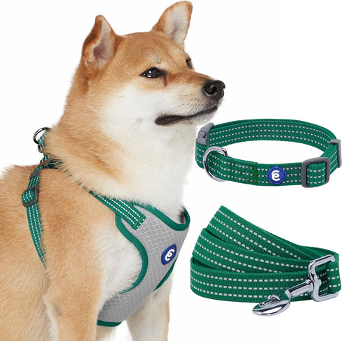 Blueberry Pet Essentials Reflective Better Basics Matching Dog Collar, Leash & Harness Set in Dark Green