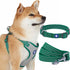 Blueberry Pet Essentials Reflective Better Basics Matching Dog Collar, Leash & Harness Set in Dark Green