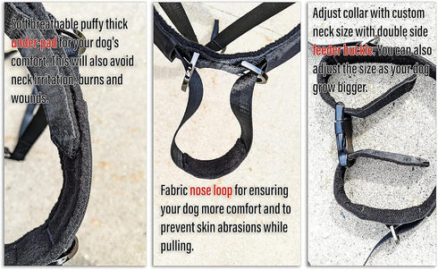 Dog Headcollar for Large Dogs (L), No-Pull Collar that Works Better than Under Head Pull Collars