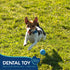 Small Rubber Dental Ball Dog Toy for Chewing - 1.95-Inch (2-Pack) for Medium & Large Dogs