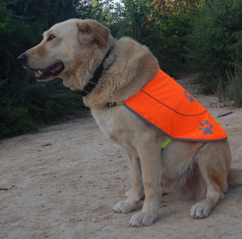 Dog Reflective Vest - Comfortable Safety Jacket, High Visibility for Dogs, Elastic Straps, Clasp Closure - Orange, Large