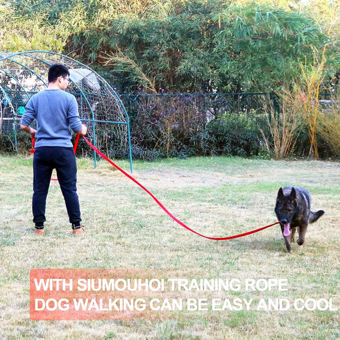 Dog/Puppy Obedience Recall Training Agility Lead - 15ft 20ft 30ft 40ft 50ft Leash, Great for Play, Purple 50ft
