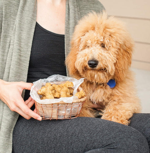 Nordic Ware Puppy Love Pan, Navy, 16 Cavities