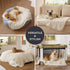 Bedsure Dog Blanket for Medium Dogs, Washable Soft Fluffy Puppy Blanket with Premium Coral Fleece, Cozy Calming Cat