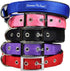 Downtown Pet Supply Deluxe Dog Collar - Blue, M - Padded Adjustable with Metal Buckle & D-Ring, Machine Washable &