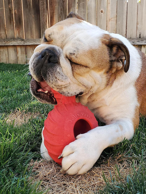 Jolly Pets Tuff Treader Dog Toy with Handle, 6 Inches, Red, Model JTR23, All Breed Sizes