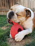 Jolly Pets Tuff Treader Dog Toy with Handle, 6 Inches, Red, Model JTR23, All Breed Sizes