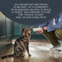 (12 2.47 oz Reveal Natural Wet Cat Food, Limited and Natural Ingredients, Grain Free, High Protein with No Artificial