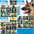 E Collar Replacement Strap, Shock Collar Replacement, Compatible with Pet Safe & Invisible Fence, Medium, Boho Tribal 3