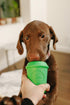 SodaPup Coffee Cup – Durable Dog Treat Dispenser & Chew Toy Made in USA from Non-Toxic Natural Rubber Material