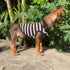 YQYS Dog Shirts, Multi-color Striped Cotton Vest for Small Dogs and Cats, Tank Top for Teacup Breeds