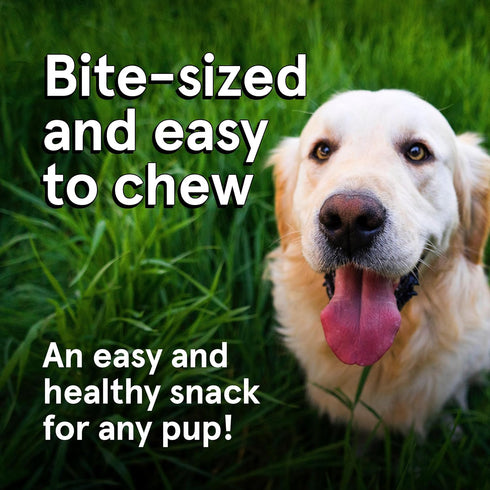 Real Meat Dog Treats - Two 12oz Bags of Air-Dried Beef Jerky for Dogs, Grain-Free, High Protein Treats