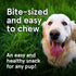 Real Meat Dog Treats - Two 12oz Bags of Air-Dried Beef Jerky for Dogs, Grain-Free, High Protein Treats