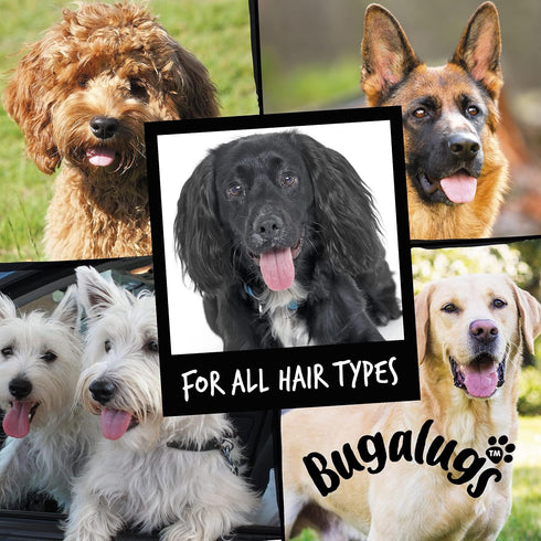 Dog Shampoo Luxury 2 in 1 - Papaya & Coconut Grooming Shampoo for Smelly Dogs, Vegan Pet Shampoo & Conditioner