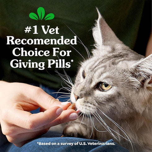 3 oz. (85 Greenies Feline Pill Pockets for Cats Natural Soft Cat Treats, Chicken Flavor, Pouch Treats)