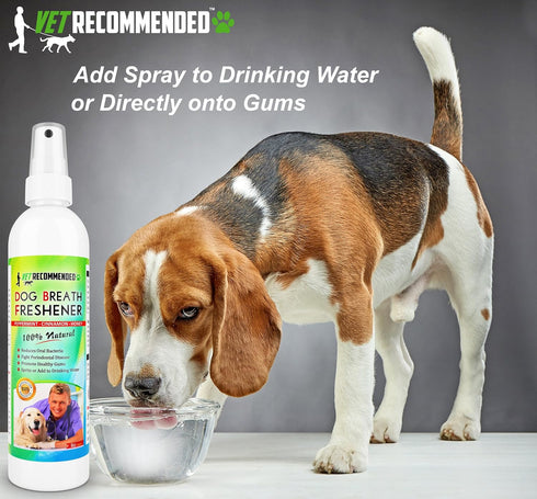 All Natural Dog Breath Freshener & Dental Water Additive Spray (8oz) - Perfect for Bad Breath & Teeth