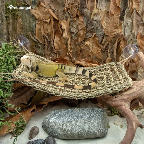 Niteangel Bearded Dragon Hammock, Rectangle 16'' x 8'', Reptile Lounger for Chameleon, Lizards, Snakes, Iguana,