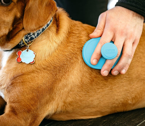 Blue Dexas BrushBuster Silicone Dog Grooming Brush