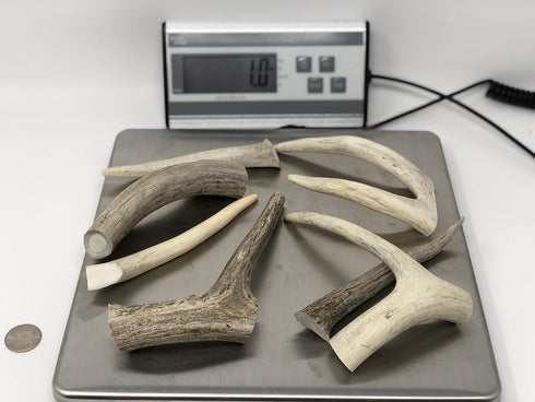 Premium Deer Antler Dog Chew Toys, 1 LB Splits, Points, & Tines