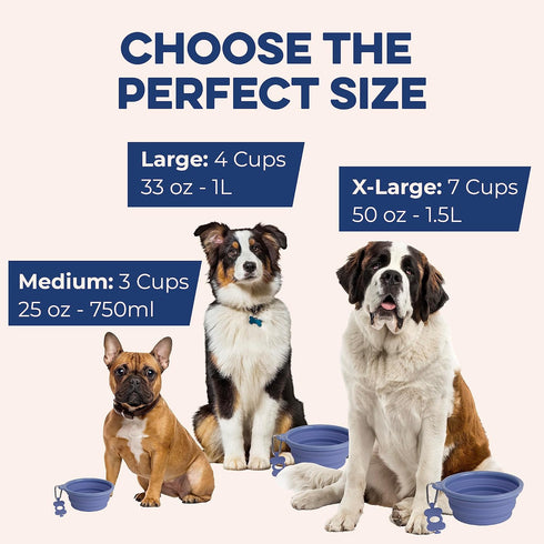 Large Collapsible Dog Bowl 1000 mL, Sturdy Reinforced Rim, Includes Carabiner & Water Bottle Holder Keychain, Black