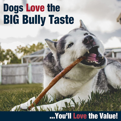 Cadet Bully Hide Sticks for Large Dogs – All-Natural Beef Pizzle, Low Fat, High Protein, 8 Count, Grain & Rawhide-Free