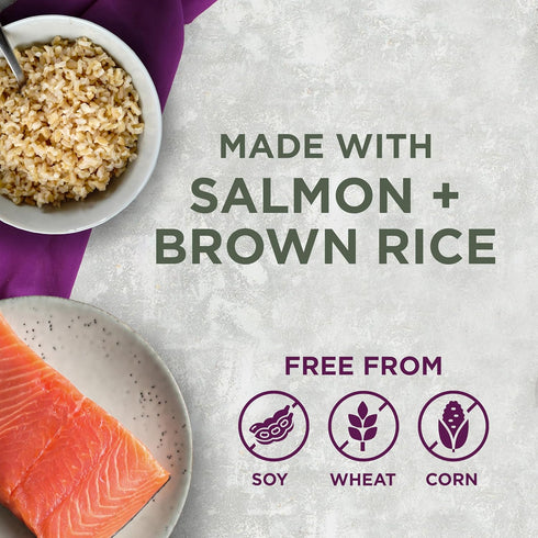 Blackwood Sensitive Skin & Stomach Dry Dog Food, Salmon Meal & Brown Rice with Ancient Grains, 10 lb Bag