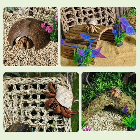 Hammock,Reptile Hermit Crab Accessories, Hermit Crab Climbing Toys,Flexible Moss Pole with Coconut Shell Hideout Hut