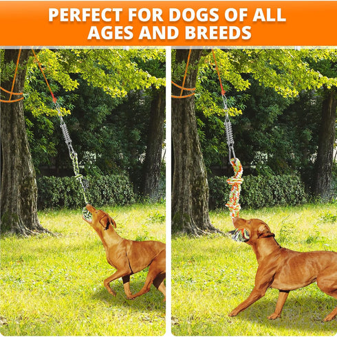 Spring Pole Dog Rope Toys - Interactive Tug of War Toy with Big Spring Pole Kit & 2 Strong Rope Toys, 16ft Rope