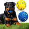 MISHMASH Vision Dog Ball - Premium Bite-Proof ETPU, Waterproof Bouncy Interactive Dog Toy, Durable Tennis Ball for