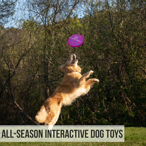 Hyper Pet 9" Flippy Flopper Flying Disc Dog Toy, Soft, Floats in Water, Safe on Teeth, Pack of 1, Purple Swirl