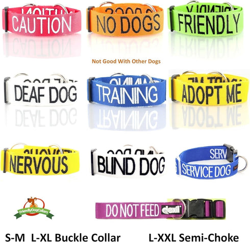 Training Dog Harness (L) - Blue Colour Coded Non-Pull Front and Back D Ring, Padded and Waterproof