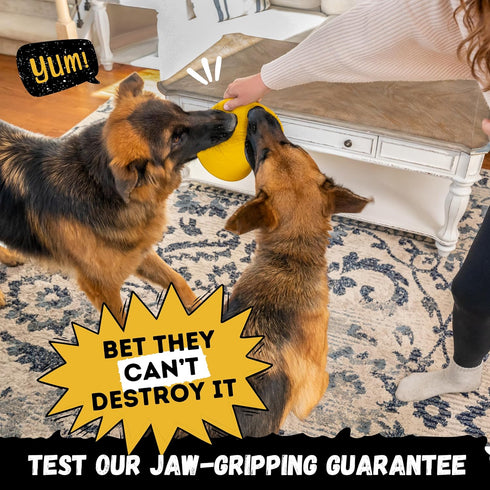 Indestructible Dog Disc, Lifetime Replacement, Heavy Duty Natural Rubber Toy for Medium & Large Breeds