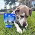 24oz, 1 Pack Ark Naturals Brushless Toothpaste, Dog Dental Chews for Extra Large Breeds, Freshens Breath, Unique