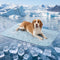 LE SURE Dog Cooling Mat for Large Dogs - QMAX>0.5 Breathable Thin