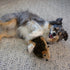 9" 5" 6.5" Outward Hound Hedgehogz Stuffed Dog Toy Soft Plush Hedgehog, Grunts & Squeaks, Medium, x x