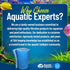 Aquatic Experts Classic Bonded Aquarium Filter Pad - 12" x 72" x .75" - Blue and White Filter Media Roll, USA Made