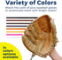 TOFL Softball and Baseball Glove Lace Kit | Mitt Lace Glove Repair Lacing Kit with 2 Leather Laces and Needle