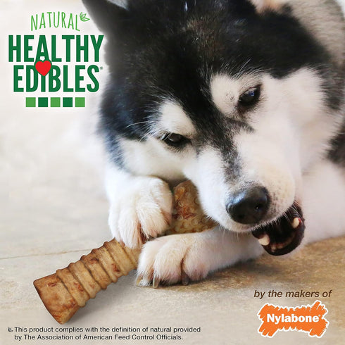 Nylabone Healthy Edibles Natural Dog Chews, Long Lasting Turkey & Apple Treats, X-Large/Souper
