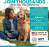 4 oz Immune, 5cc Sea Kelp Powder for Dogs - Thyroid, Dental & Plaque Support, Skin & Coat - Chew + Heal Labs