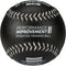 Champro Weighted Training Softballs - Individual