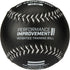 Champro Weighted Training Softballs - Individual
