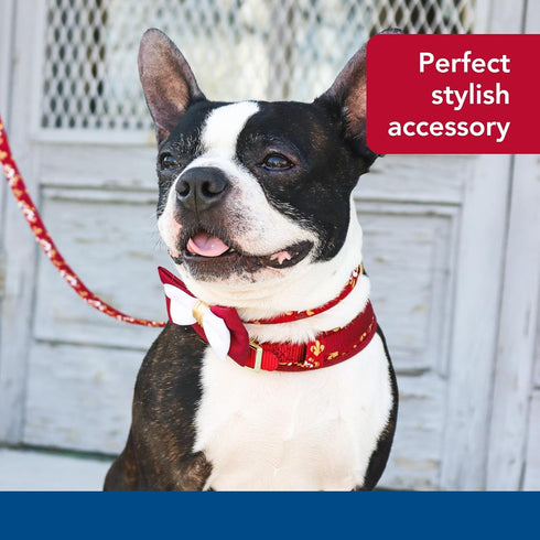 Coastal Pet Accent Metallic Dog Collar Embellishment, One Size, Burgundy Bow