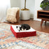 South Pine Porch Ollie Orthopedic Rectangle Foam Dog Bed - Extra Small, Crimson, 24" x 18"