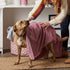 Bone Dry Pet Grooming Towel Collection - Absorbent Microfiber X-Large, 41x23.5", Embroidered Rose