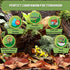 SunGrow Leaf Litter for Snakes, 10 Pcs Medium Indian Almond Catappa Leaves for Humidity in Reptile Tank Decor