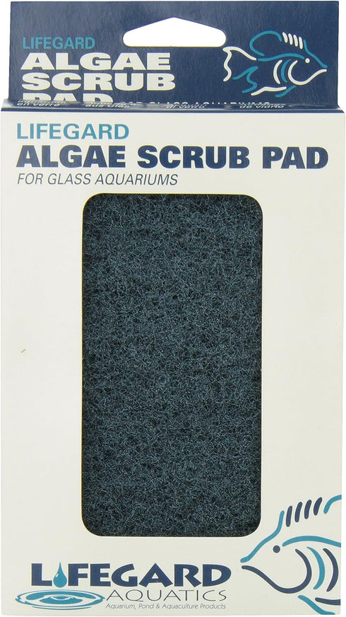 Lifegard Aquatics Blue Algae Pad, 4-Inch by 6-Inch, Black