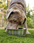 2.5 lb Weighted Dog Bowl - No Slip, No Tip, Heavy Stainless Steel Dog Bowl with Silicone Rubber Foot
